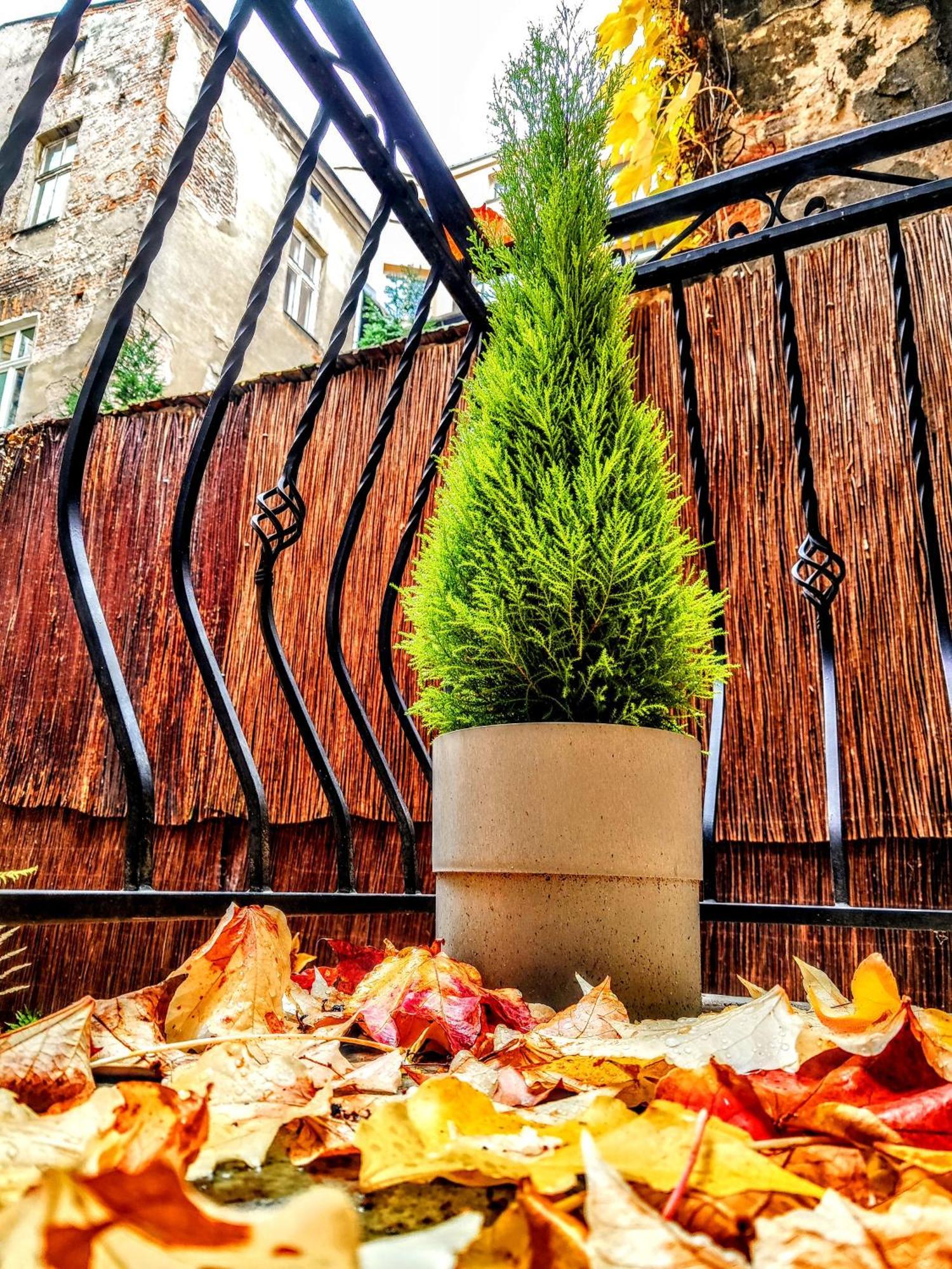 Z-1 Krakow Old Town O&P Apartfamily Eksteriør bilde